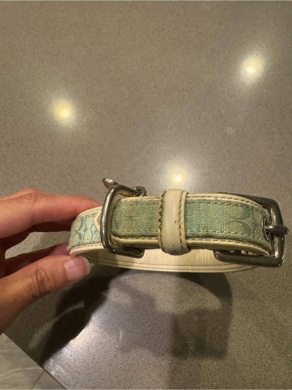 Coach Signature Light Blue Dog Collar size small